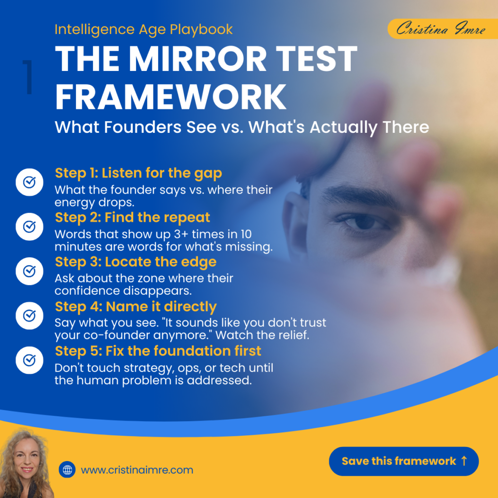 The Mirror Test™ | Organizational Diagnostic by Dr. Cristina Imre
