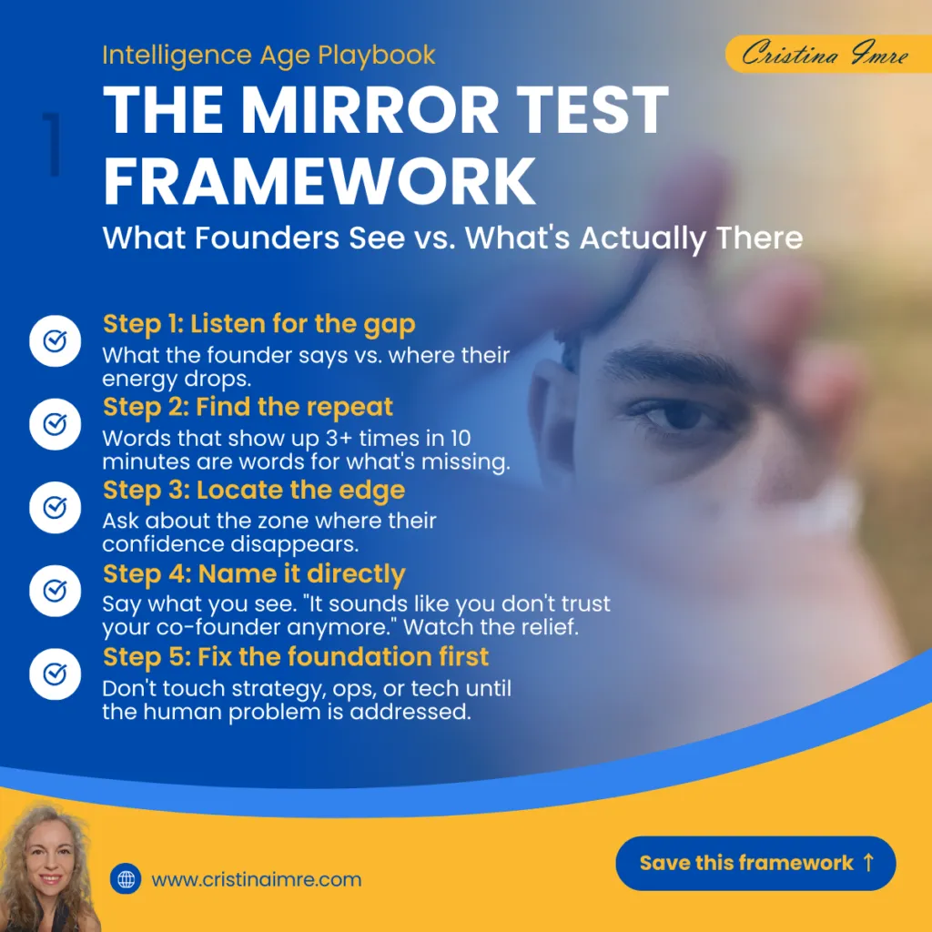 The Mirror Test™ | Organizational Diagnostic by Dr. Cristina Imre